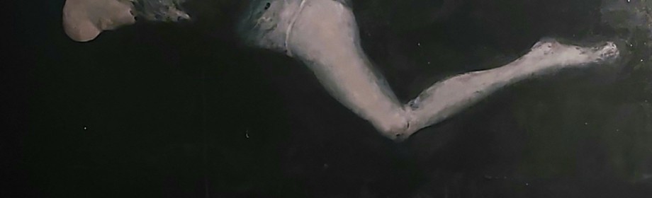 Conservatorium - Kris Gevers